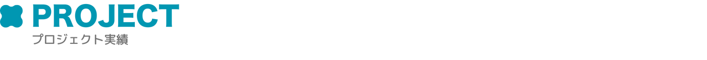 プロジェクト概要